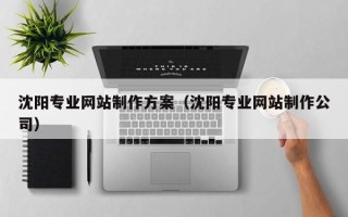 泗洪沈阳专业网站制作方案（沈阳专业网站制作公司）